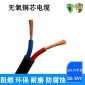 珠江电线电缆2芯 RVV2*0.75平方电源线阻燃护套软电线纯铜国标线